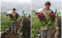 Cuba recibe 10 millones de dólares en maquinaria agrícola japonesa