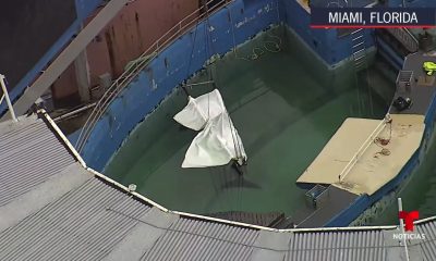 Muere la orca Lolita tras medio siglo de cautiverio en Acuario de Miami