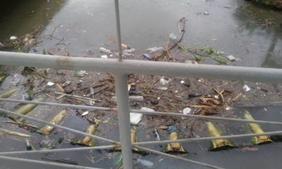 Cancelan de nuevo la lanchita de Regla, ahora por exceso de basura en la Bahía de La Habana
