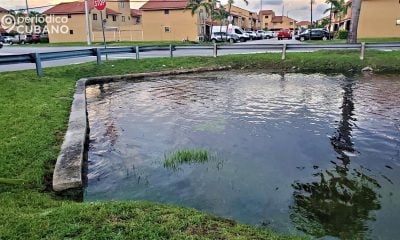 Casas en Miami-Dade, Palm Beach y Broward deberán contratar un seguro obligatorio contra inundaciones