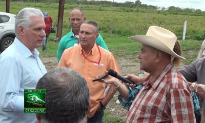 Díaz-Canel exige a los cubanos que produzcan su propia comida y no esperen nada por la libreta