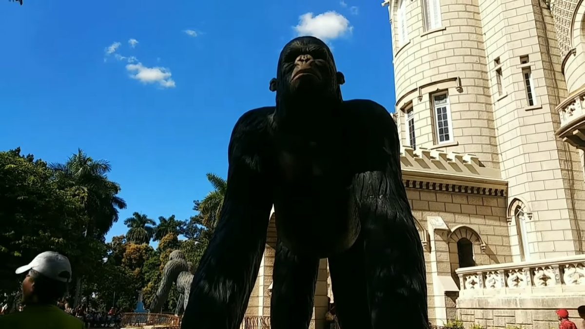 Finca de los monos La Habana (2)
