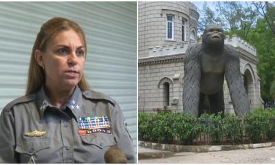Nuevos detalles de los sucesos en la Finca de los Monos ya hay varios detenidos