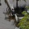 Zonas del sur de Florida siguen bajo agua tras intensas lluvias (1)