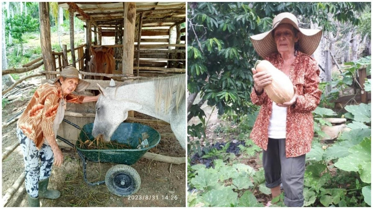 Régimen cubano despoja a los hermanos Urquiola de su finca en Viñales (1)